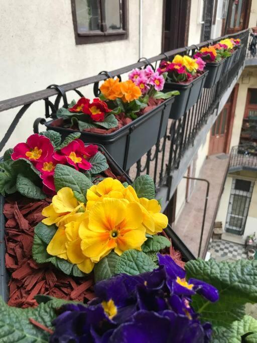 Perfect Location,Newly Decorated Modern, Large Place 60 M2, Really Quiet So You Can Have A Good Night Sleep, Ac, Netflix, Smart Tv, High-Speed Internet, World Famous New York Cafe Only 10 Minutes Walk Budapešť Exteriér fotografie